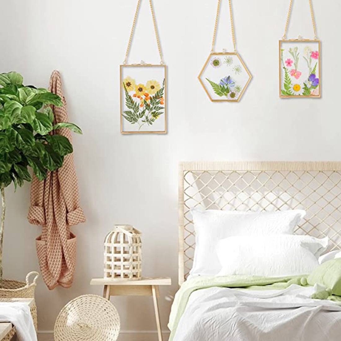 Cornici in Vetro per Fiori Pre - Kitchen Appliances Pictures recensione e prezzo