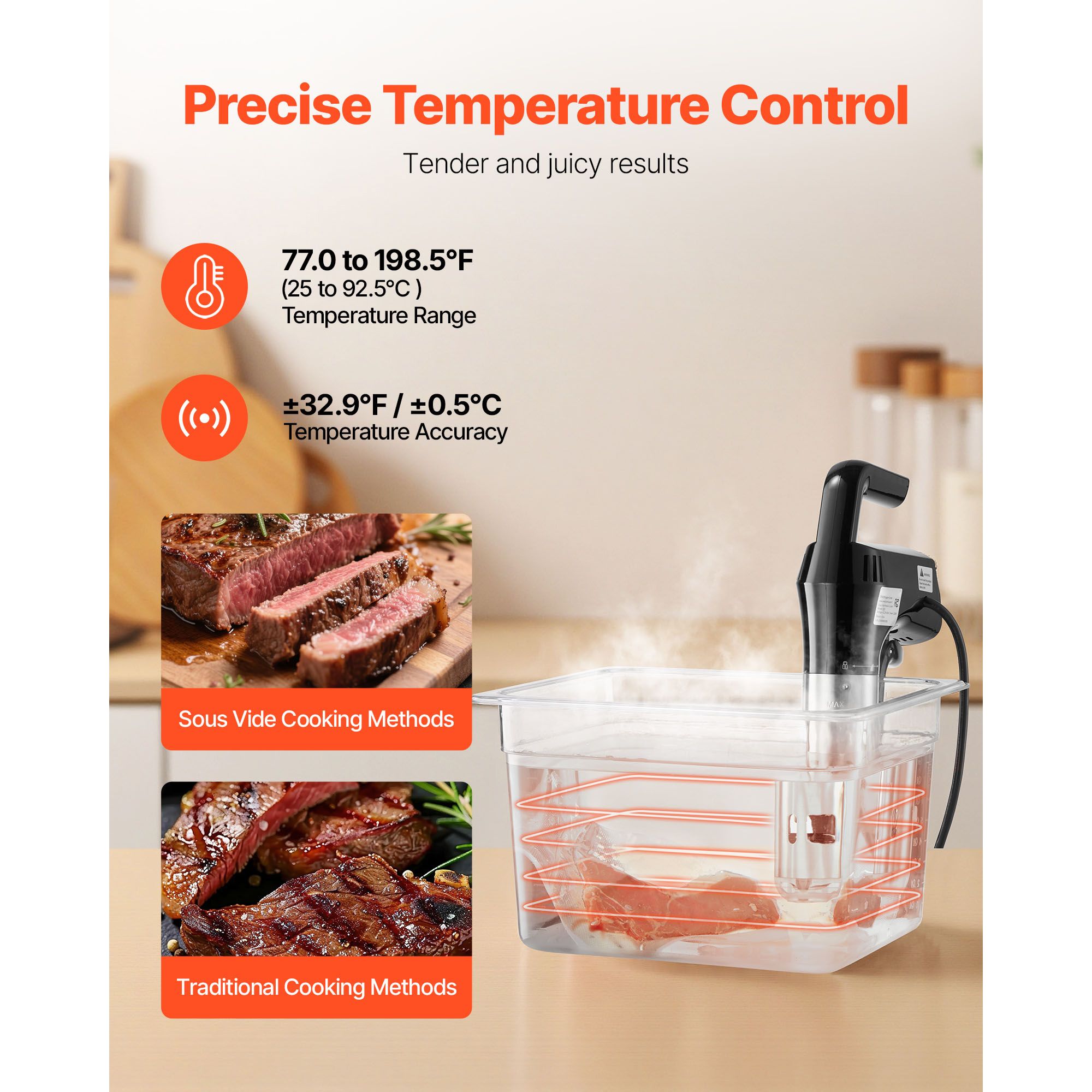 Cuocitore di Precisione Sous V - Sous Vide Immersion recensione e prezzo
