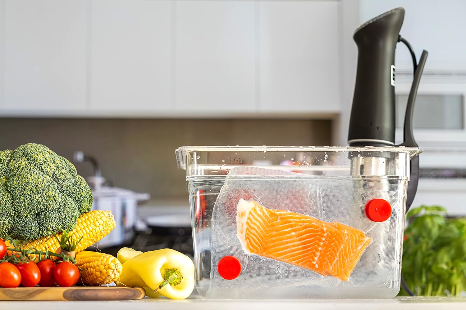 Sous Vide magneti Set di 8-riv - Sous Vide Immersion recensione e prezzo