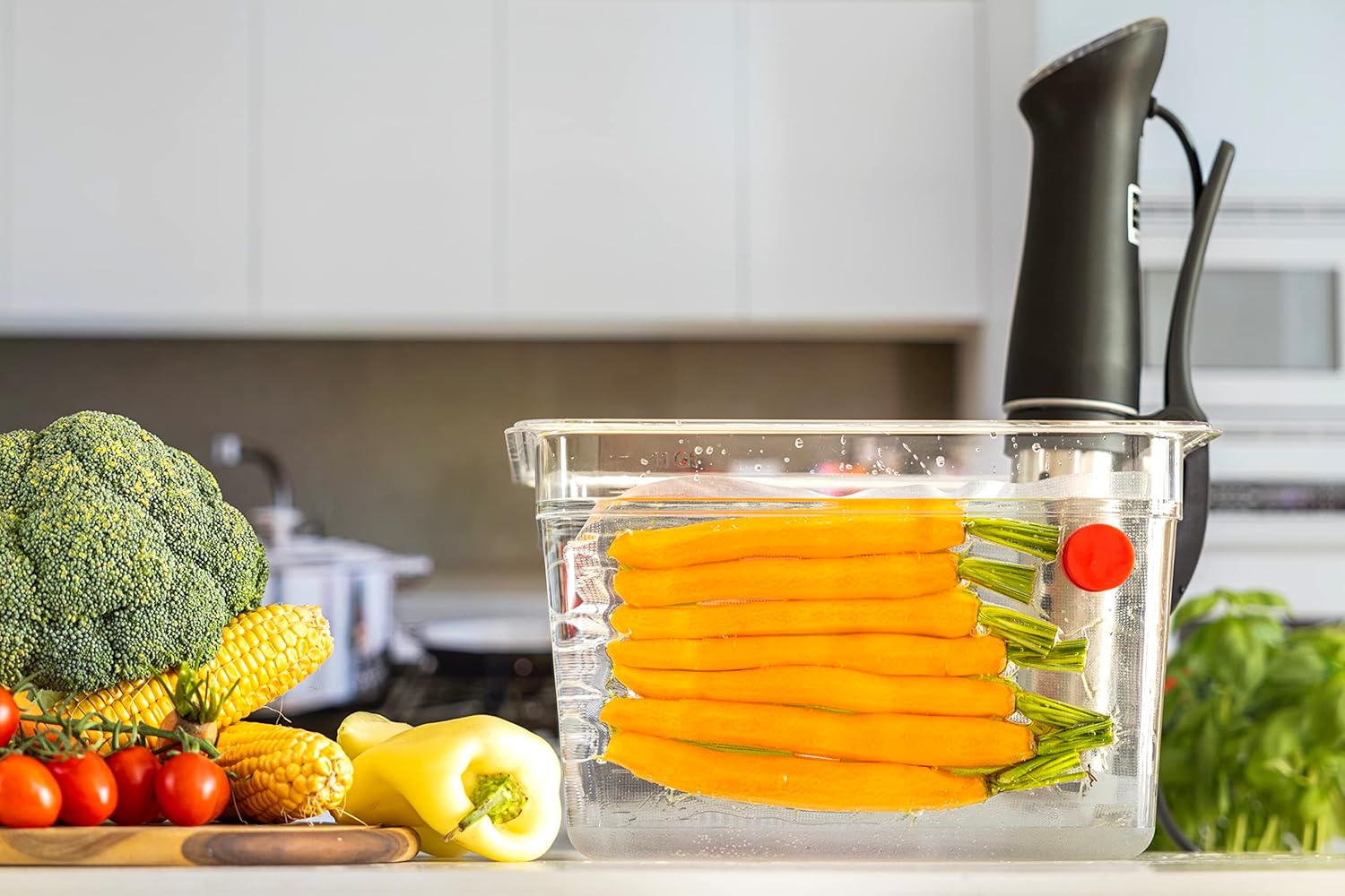 Sous Vide magneti Set di 8-riv - Sous Vide Immersion recensione e prezzo