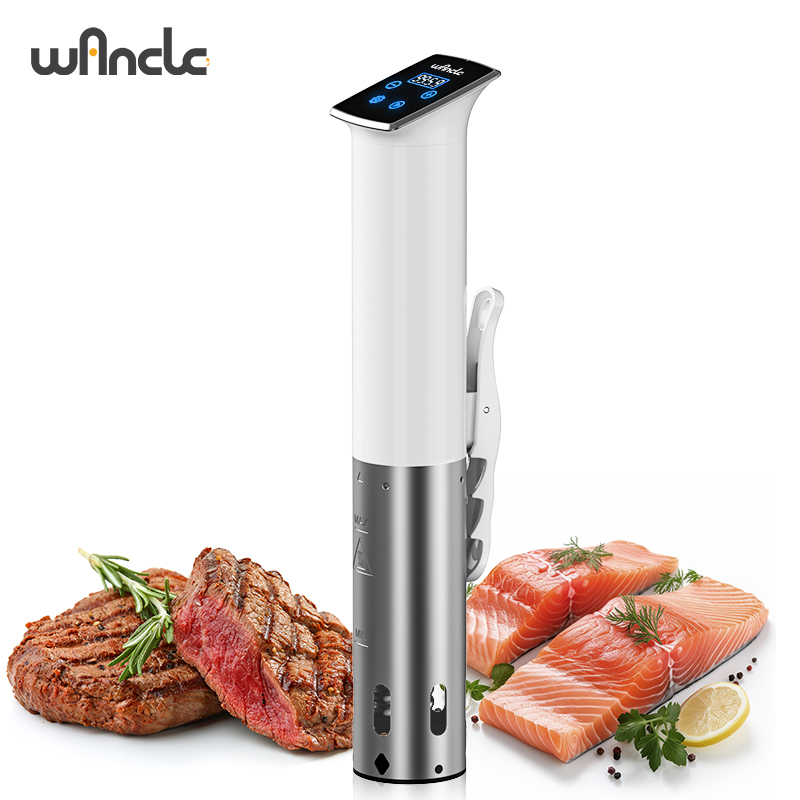 Wancle 1100W Fornello sottovuo - Sous Vide Immersion recensione e prezzo