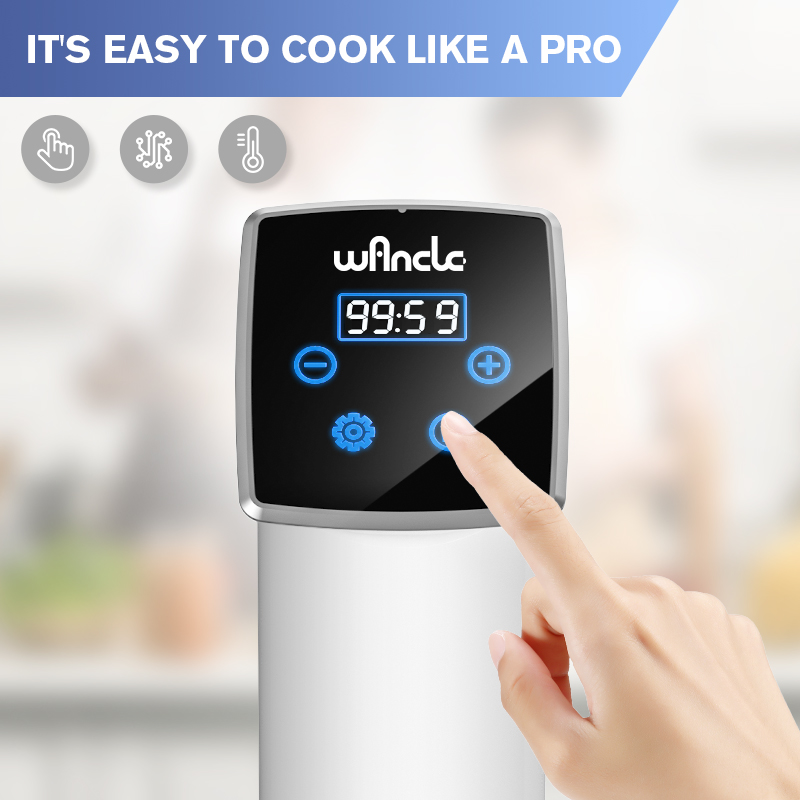 Wancle 1100W Fornello sottovuo - Sous Vide Immersion recensione e prezzo